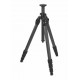 Swarovski CCT trépied carbone compact