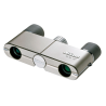 Nikon - 4x10 D CF Silver