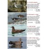 Les oiseaux des lacs suisse