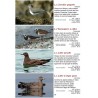 Les oiseaux des lacs suisse