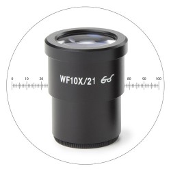 Euromex Oculaire WF 10X SB avec échelle micrométrique