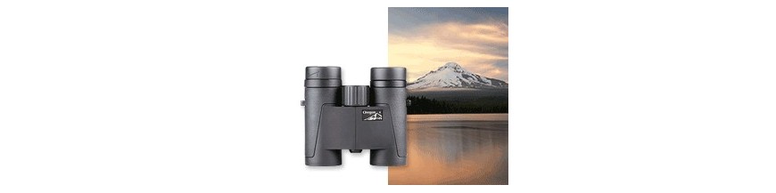 Oregon 4