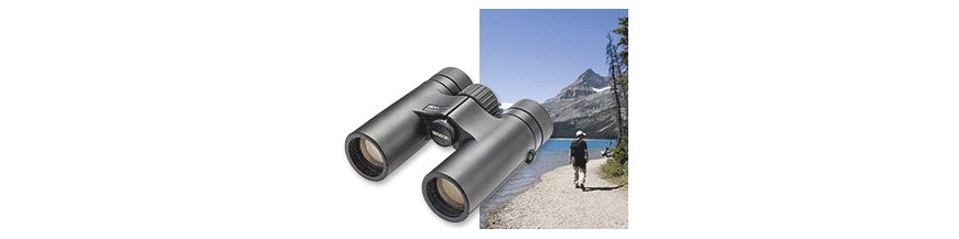 Traveller BGA ED