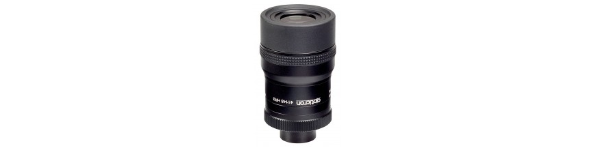 Oculaires
