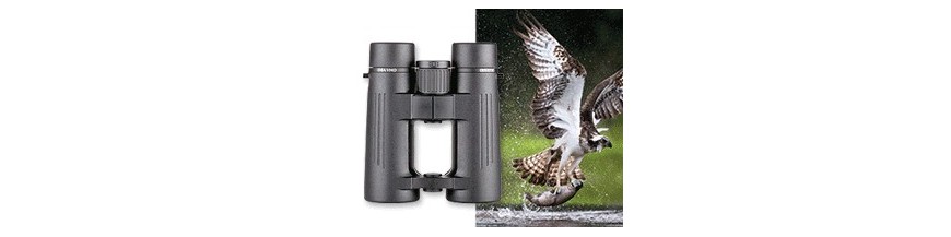 DBA VHD+ - 42