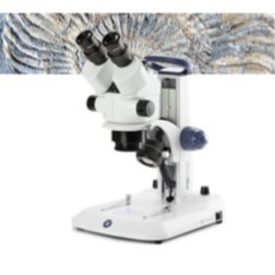 Microscopes Euromex