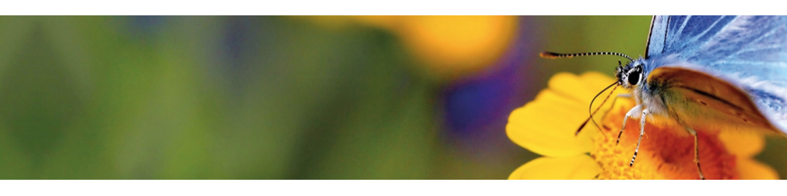 Opticron