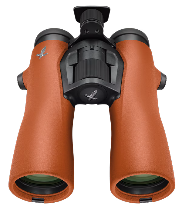 Swarovski NL Pure burn orange