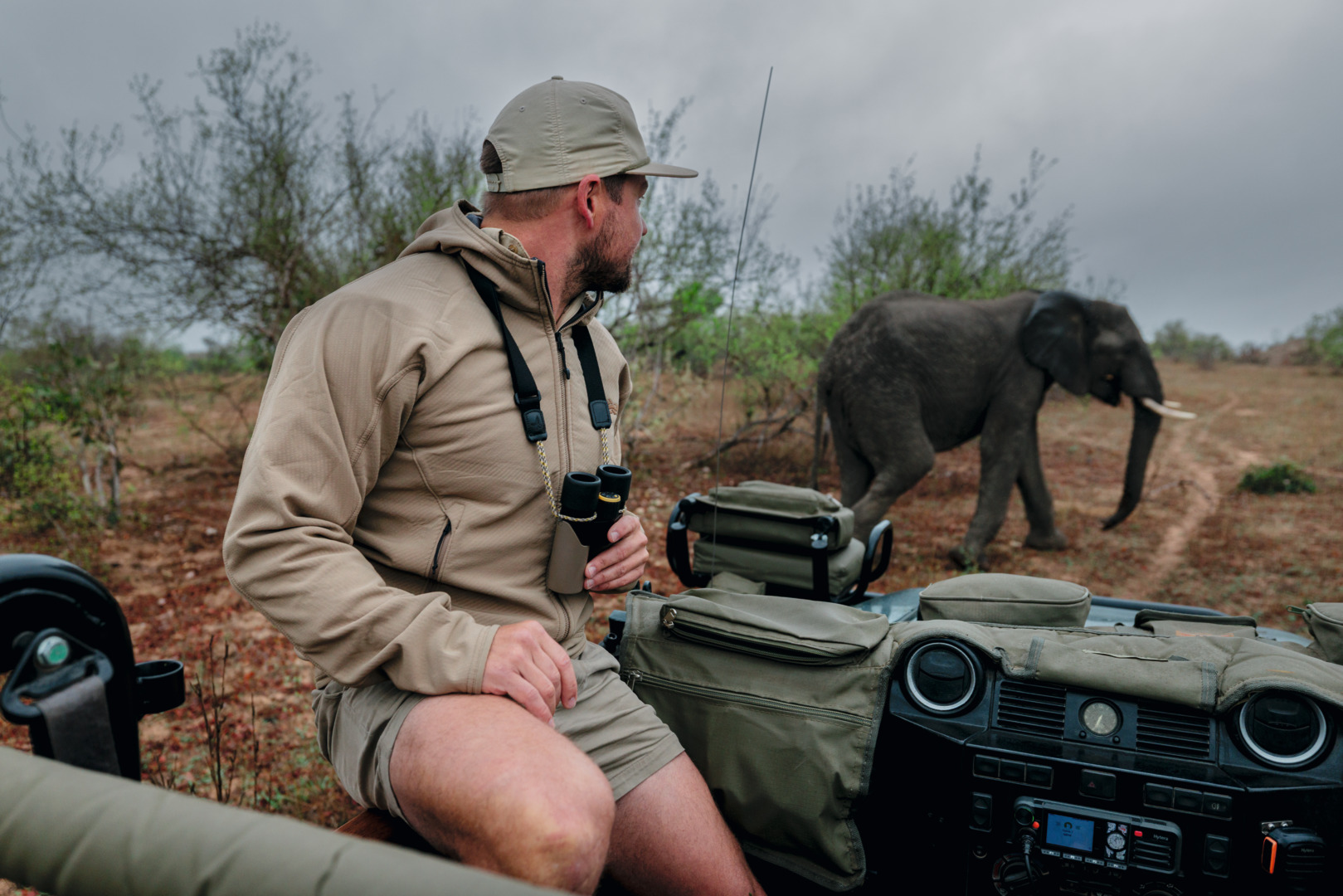 CL Companion 3.0 brown