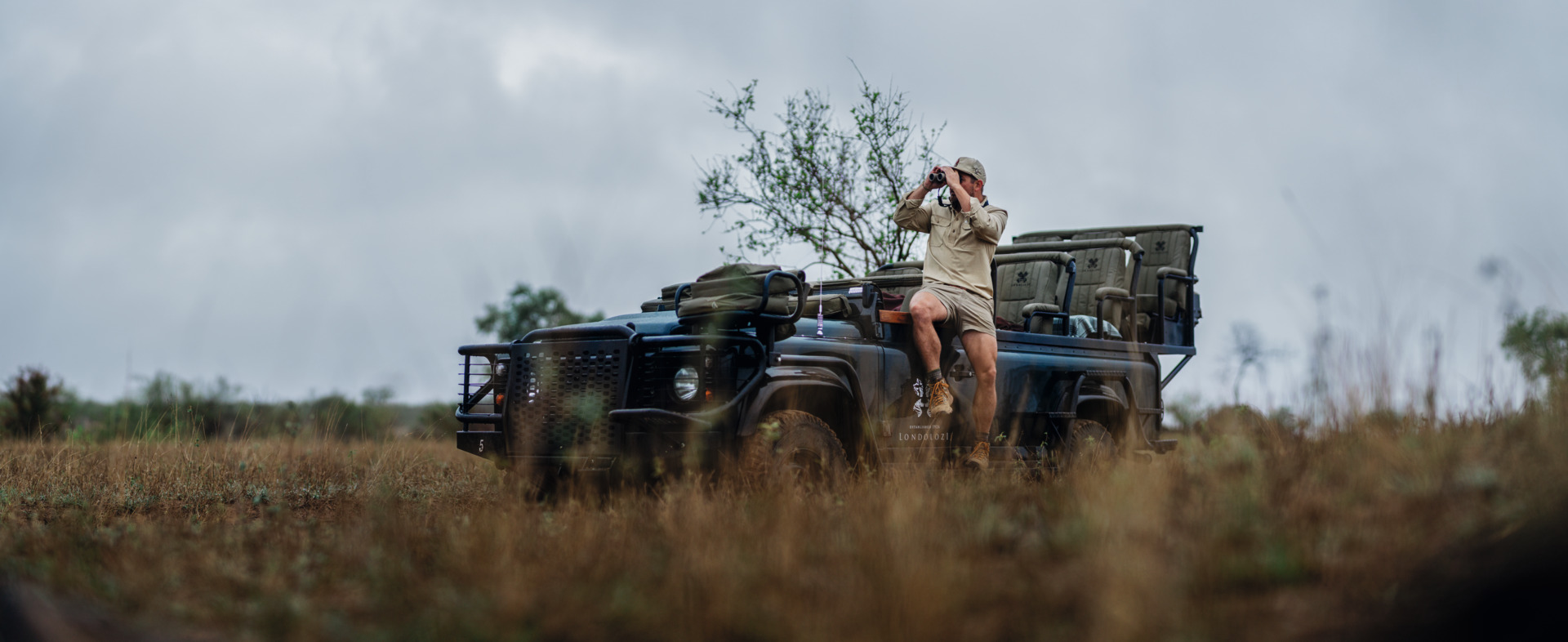 CL Companion 3.0 brown